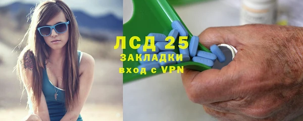 PSILOCYBIN Каменногорск