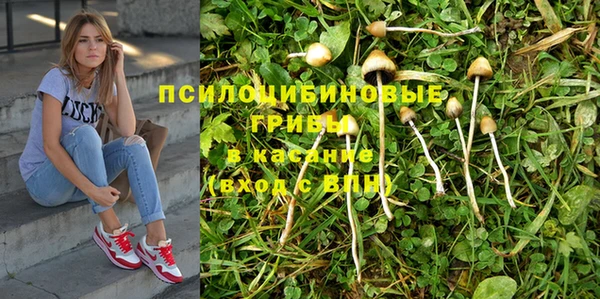 экстази Каменка