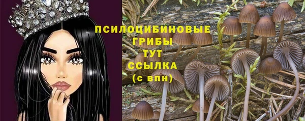 прущая мука Карпинск