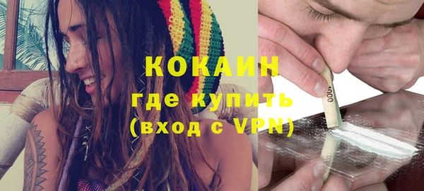 PSILOCYBIN Каменногорск
