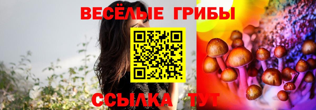 Каменка  Псилоцибиновые грибы ЛСД  Вход с VPN 